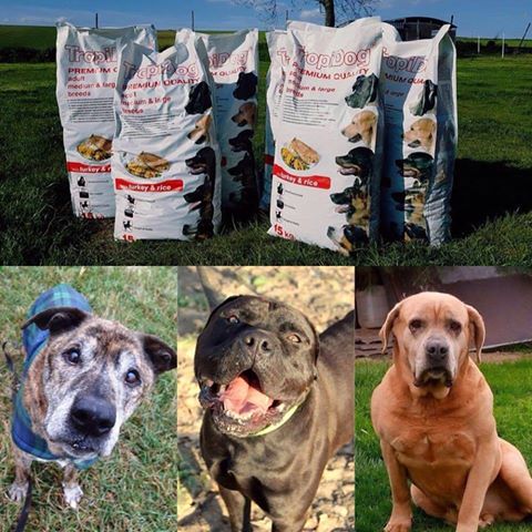 Ogromne podziękowania dla Pana Przemka Grundlanda za karmę dla naszych podopiecznych 